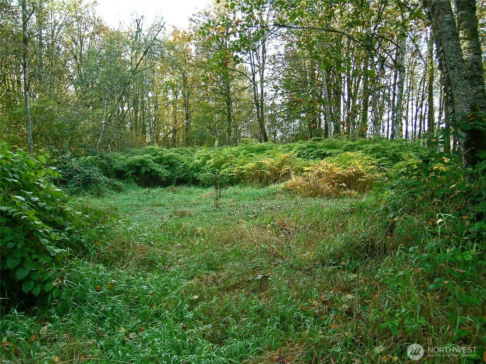 Property Photo:  5973  North Fork Road  WA 98244 