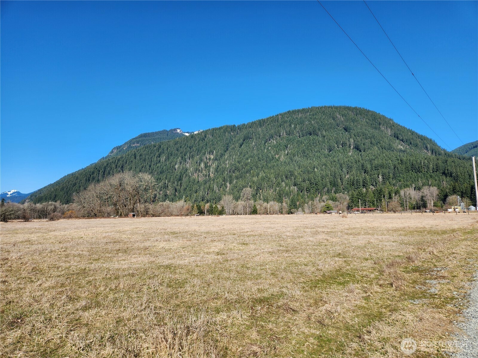 Property Photo:  112  Horseshoe Lane  WA 98593 