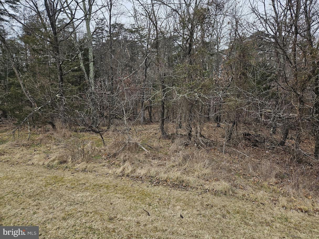 Property Photo:  Unknown  VA 22655 