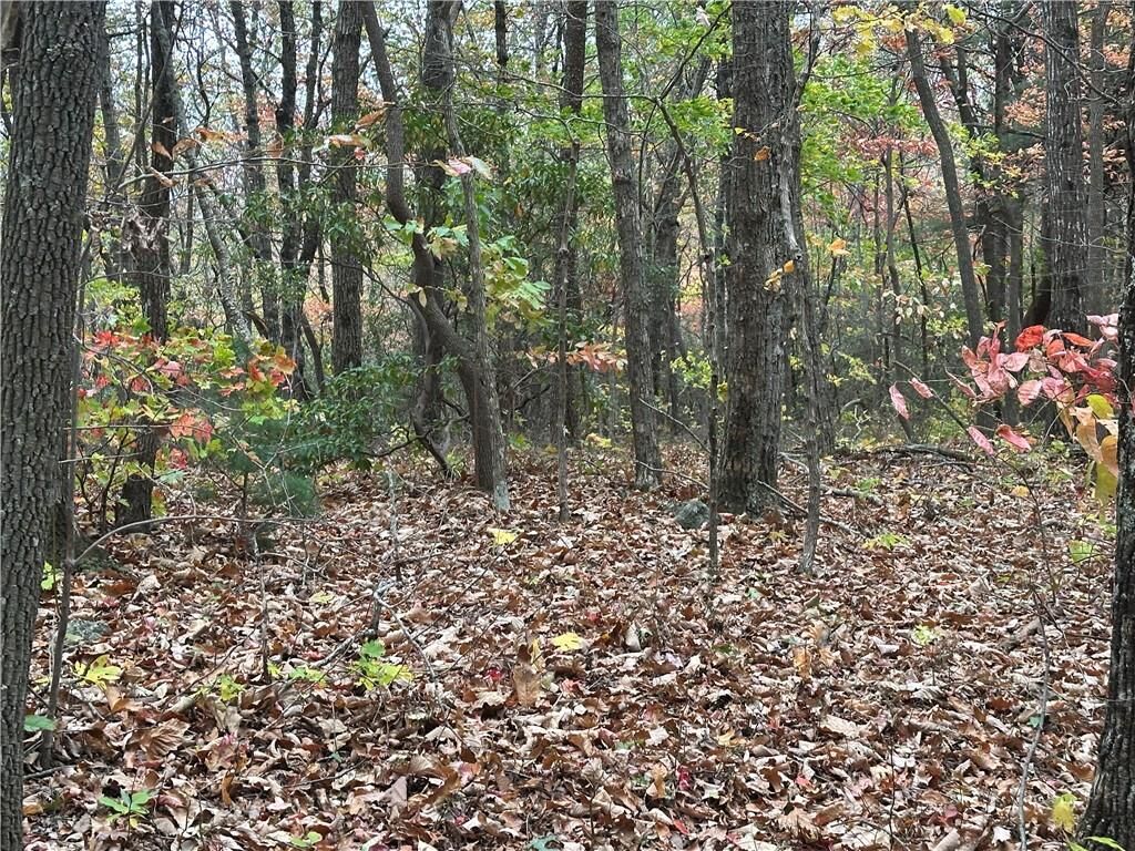 Property Photo:  0 Northland Trail  GA 30536 
