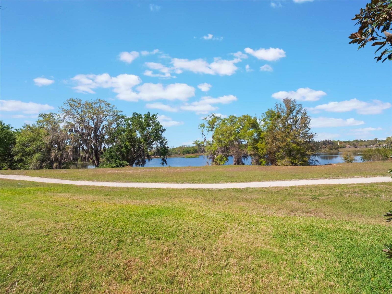 Property Photo:  27307 Pine Straw Road  FL 34748 