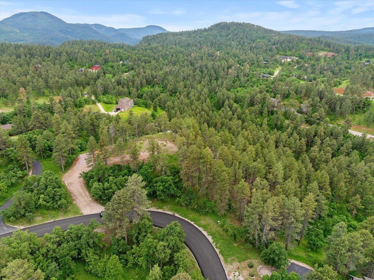 Property Photo:  253 Pine Cone Avenue  SD 57783 