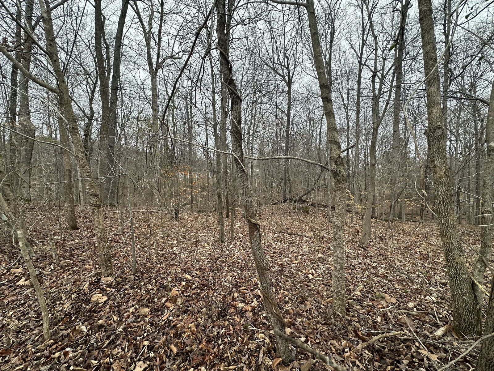 Property Photo: 9 Ginger Drive TN 37058