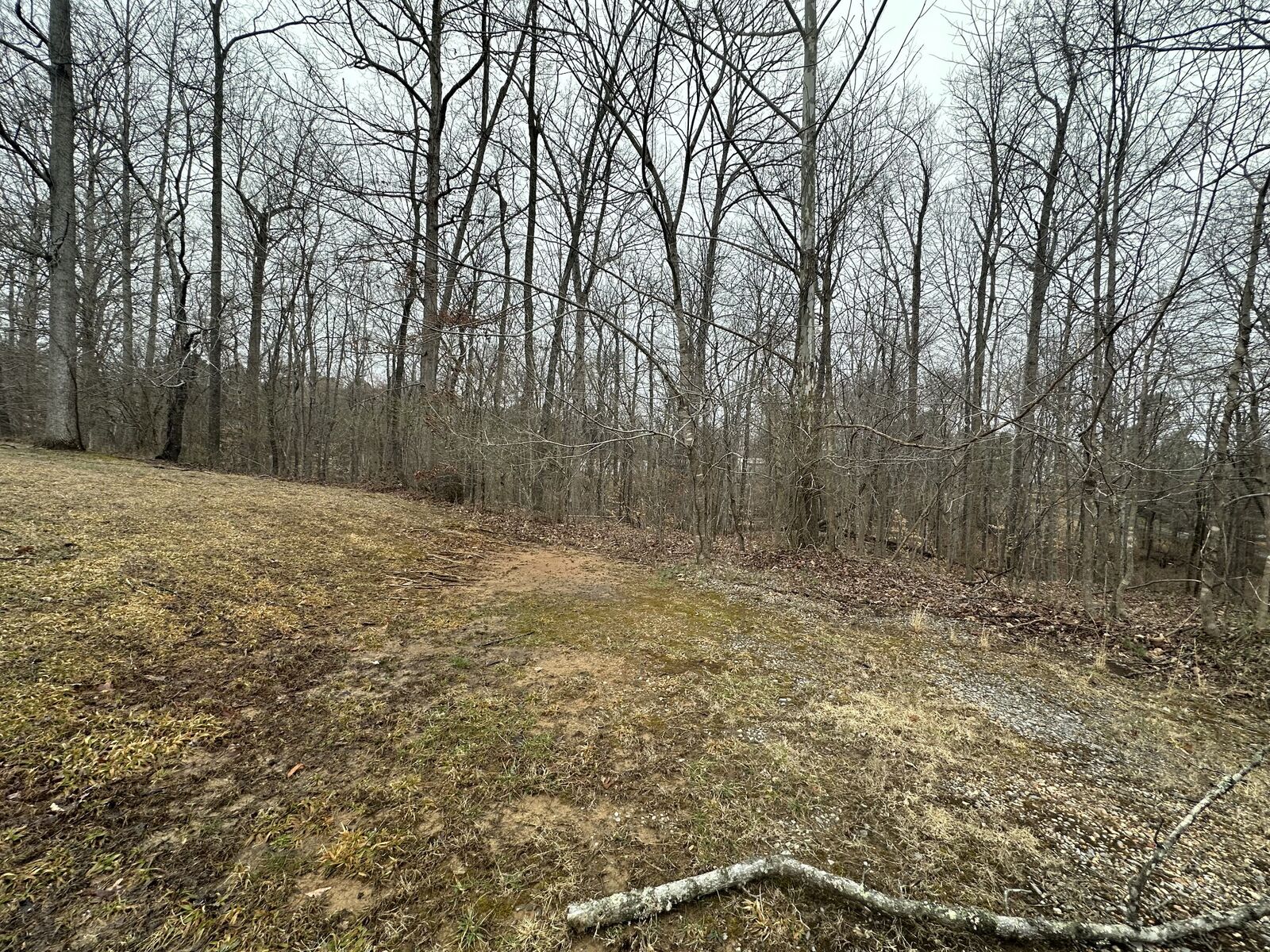 Property Photo: 9 Ginger Drive TN 37058