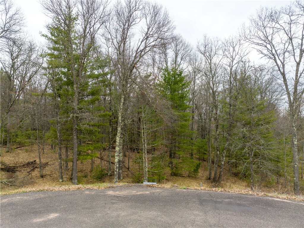 Property Photo: Tbd Lot 6 Smith Drive WI 54873