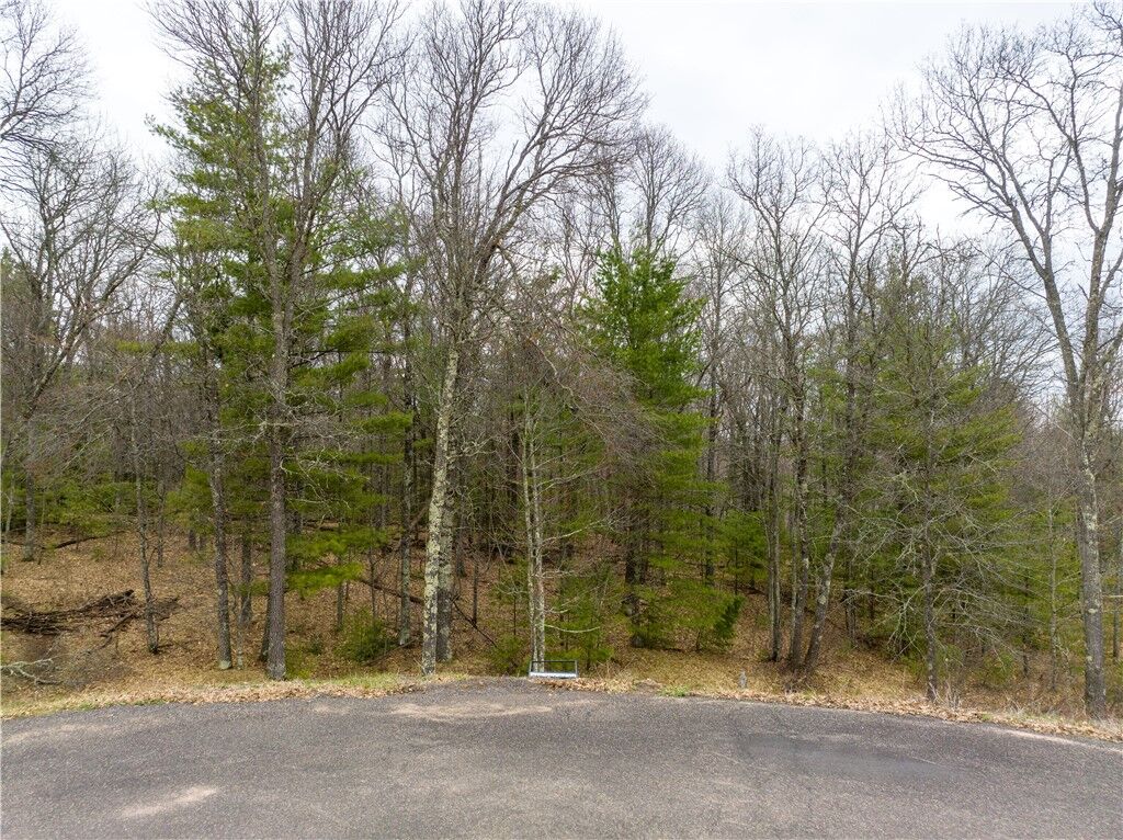 Property Photo:  Tbd Lot 6 Smith Drive  WI 54873 