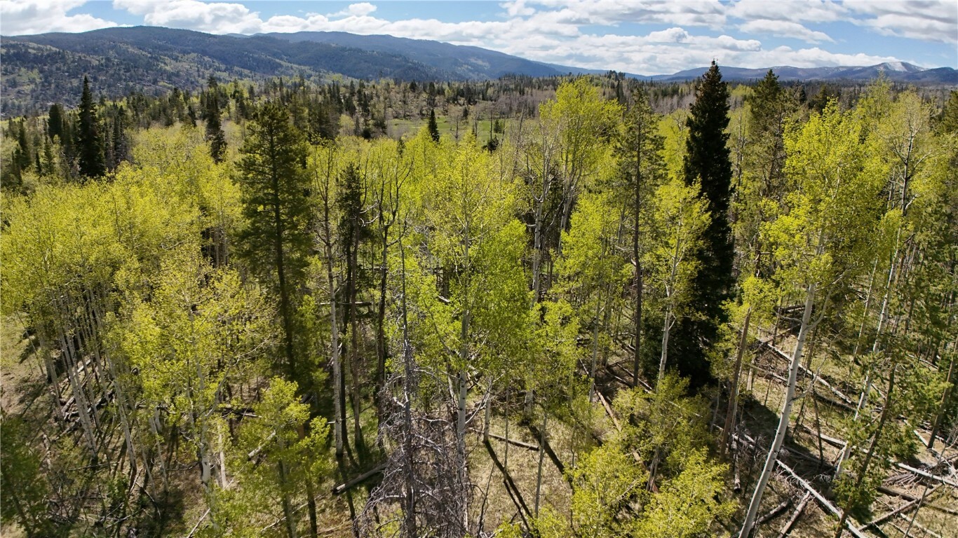 Property Photo:  Lot 98 South Station I  CO 80486 