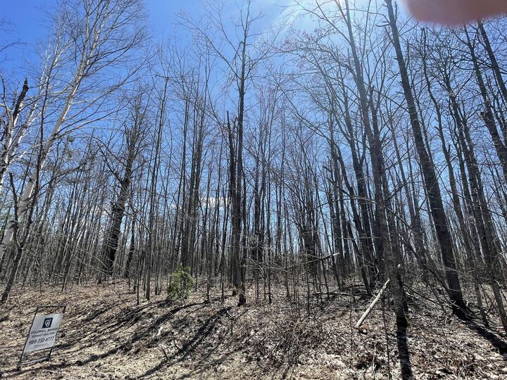 Property Photo: Lot 46 Louise Drive MI 49730