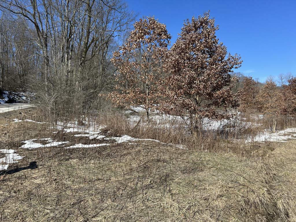 20.5-17A Ridgeview Road  Titusville PA 16354 photo