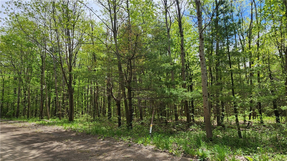 Property Photo: 6291 Burke Road NY 14873