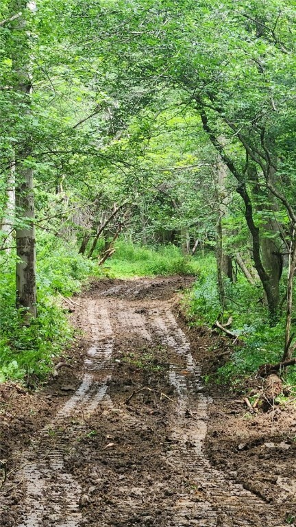Property Photo:  6291 Burke Road  NY 14873 