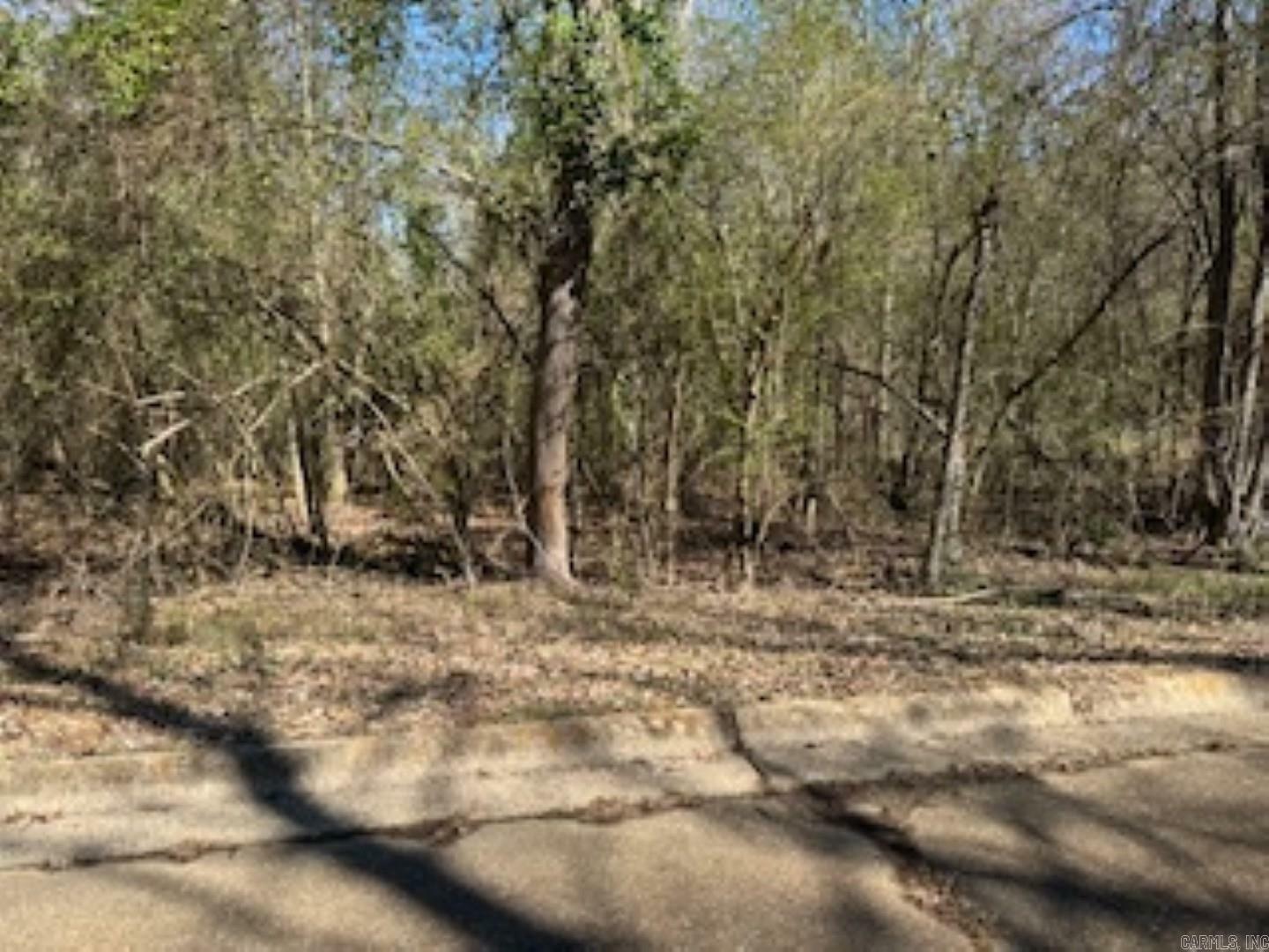 Property Photo: 000 Peppertree/Mockingbird/Camellia AR 71701
