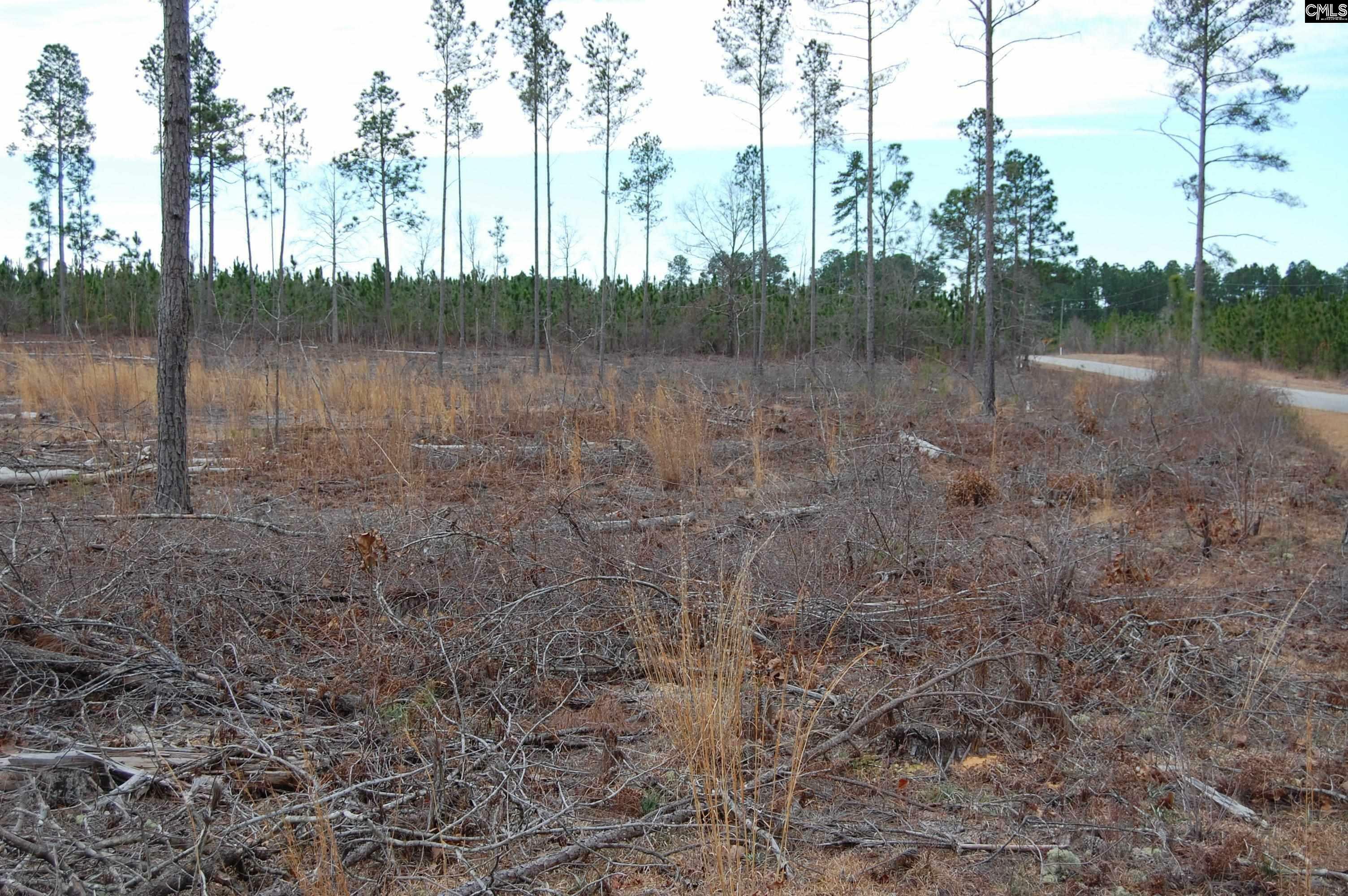 Property Photo: 1035 Yarborough SC 29032