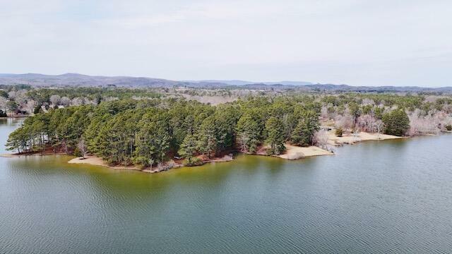 Property Photo: 108 Parham Drive GA 30728