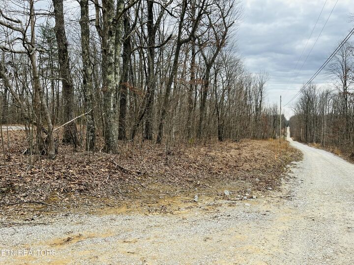 Property Photo:  1 Diane Circle  TN 38572 