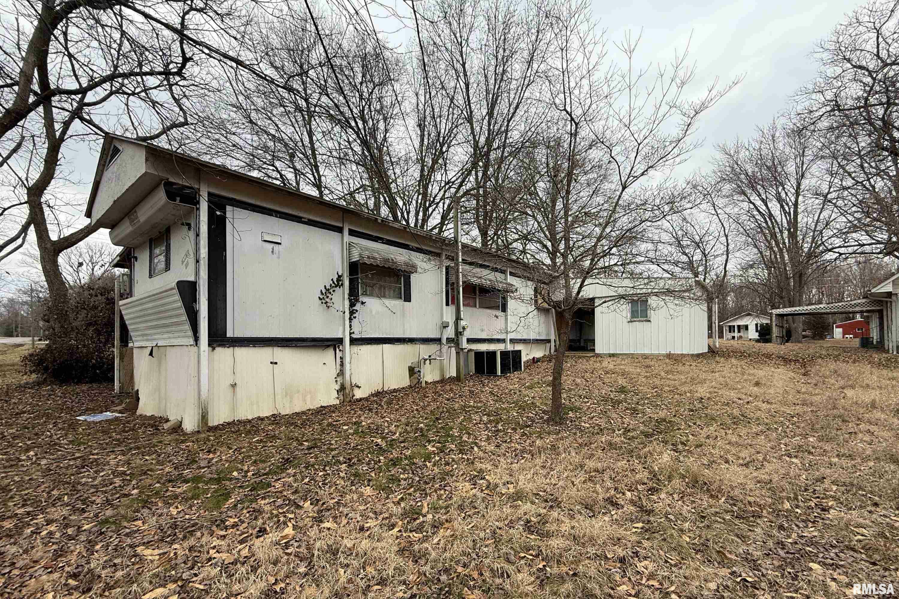 Property Photo:  1100 Dial Street  IL 62812 