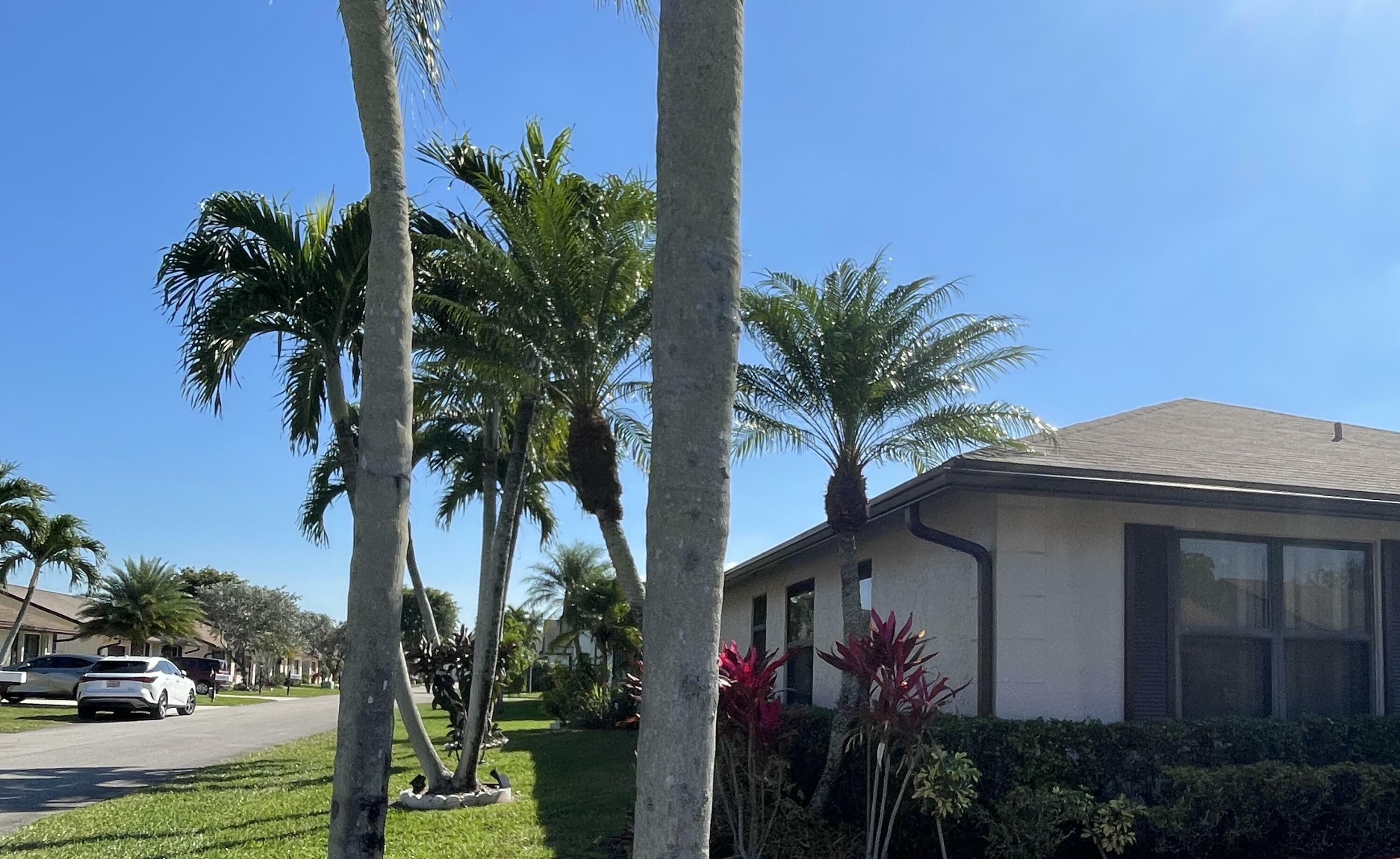 Property Photo: 6302 Tall Cypress Circle FL 33463