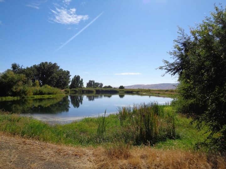 Property Photo:  Nna Fort Rd Fort Rd/Lateral B Rd Wapato  WA 98951 