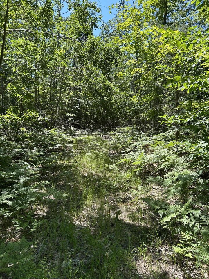 Property Photo:  Parcel C Woodmansee Road  MI 49721