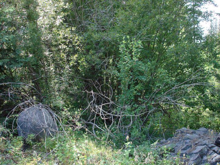 Property Photo: Lot 2 Majestic View Drive ID 83638