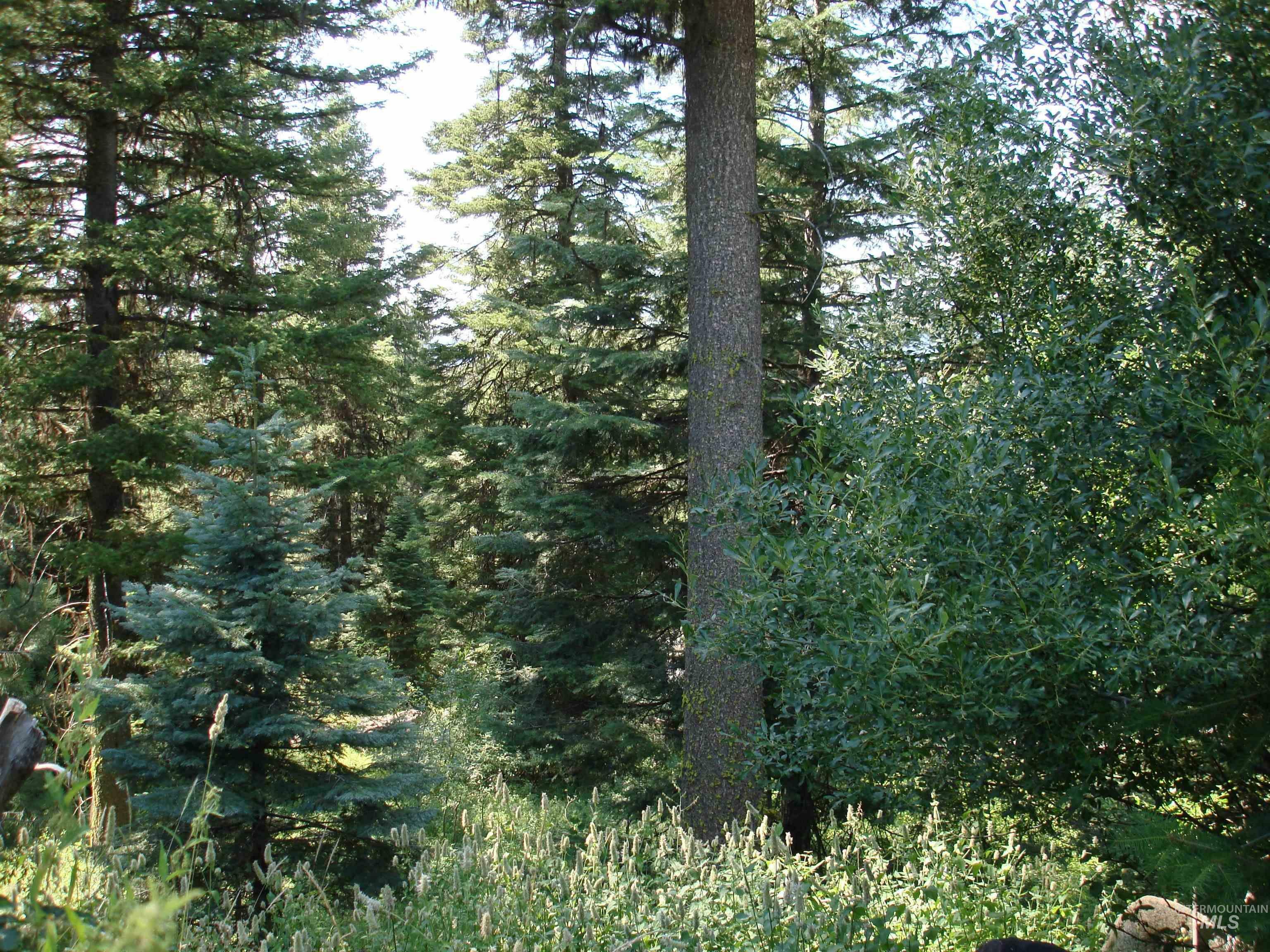 Property Photo:  Lot 68 Aspen Ridge Lane  ID 83638 