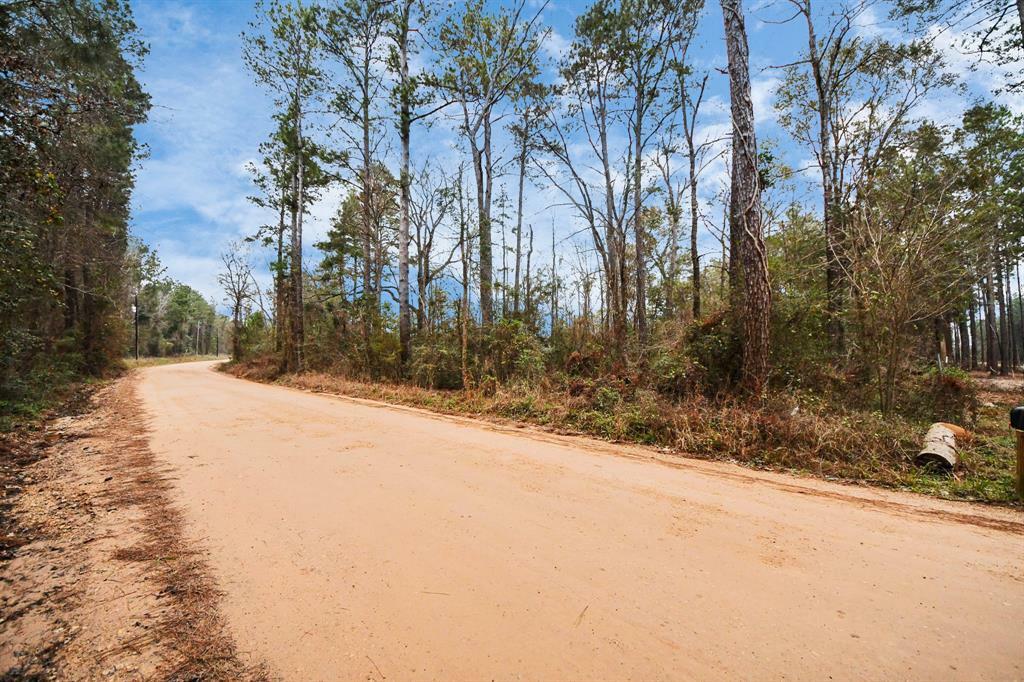 12+ Acres County Line Road  Shepherd TX 77371 photo