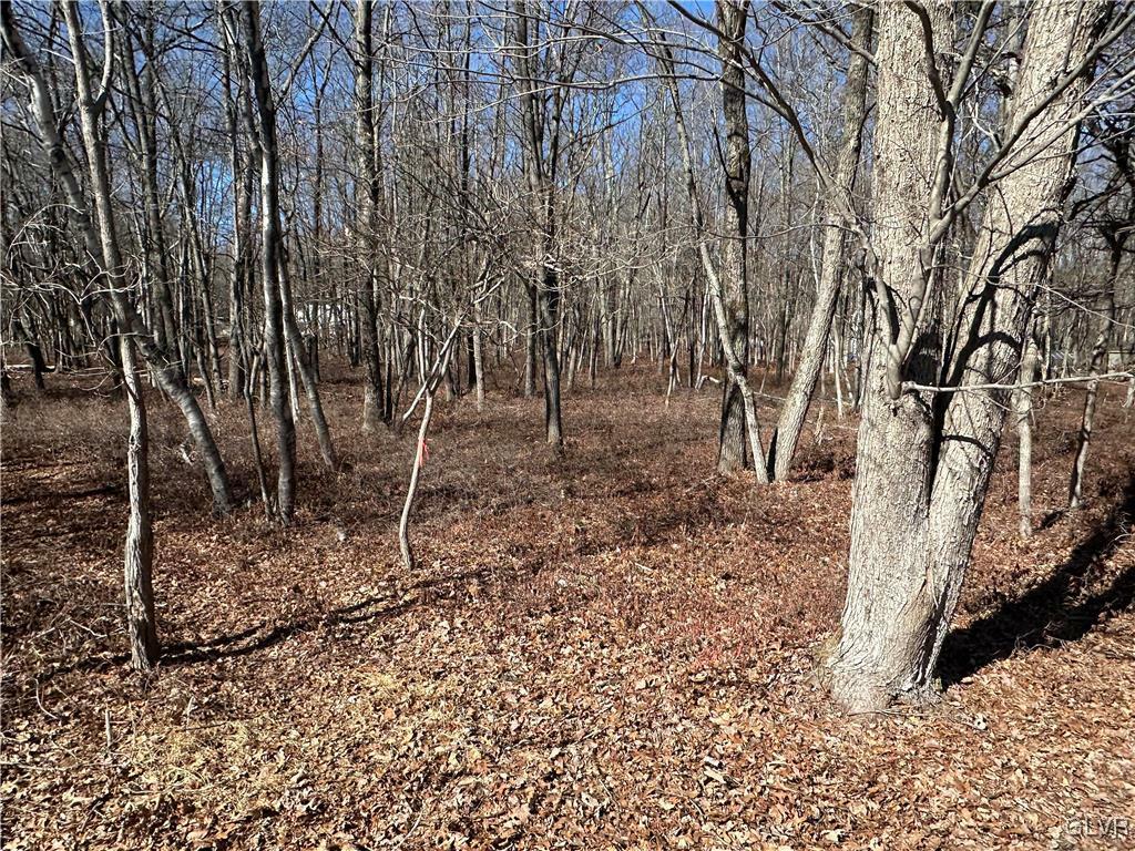 Property Photo: 0 Pawnee Trail PA 18210
