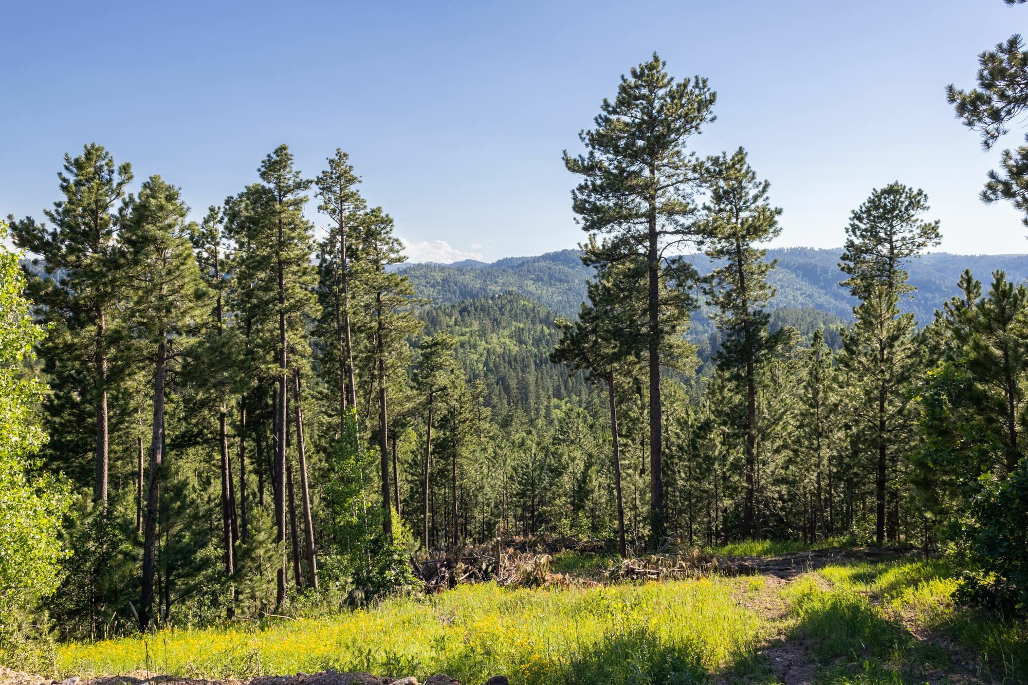 Lot 139 Paradise Gulch Loop  Lead SD 57754 photo