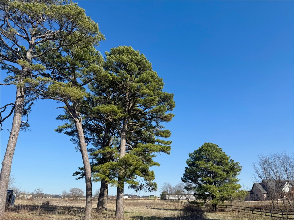 Property Photo:  Tbd S Morning Star Road  AR 72713 