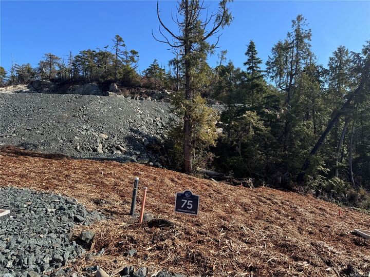 Lot 75 Forbes Rd — photo 1