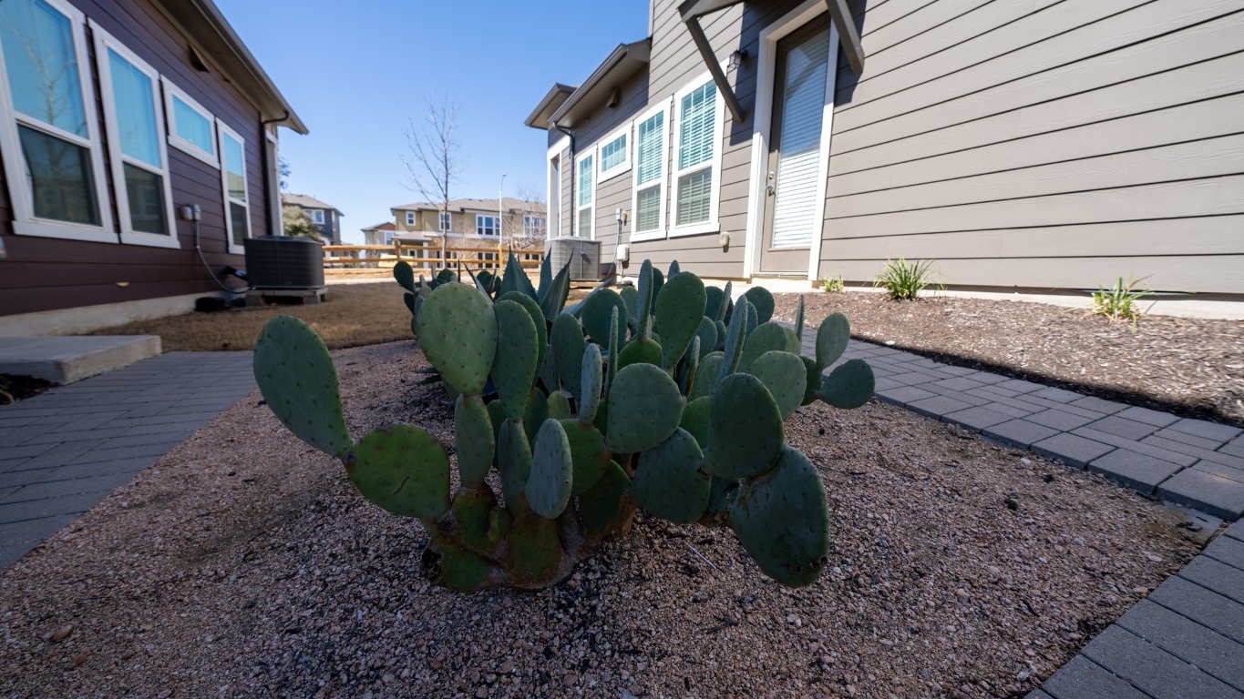 Property Photo: 1015 Vista View Drive 2702 TX 78626