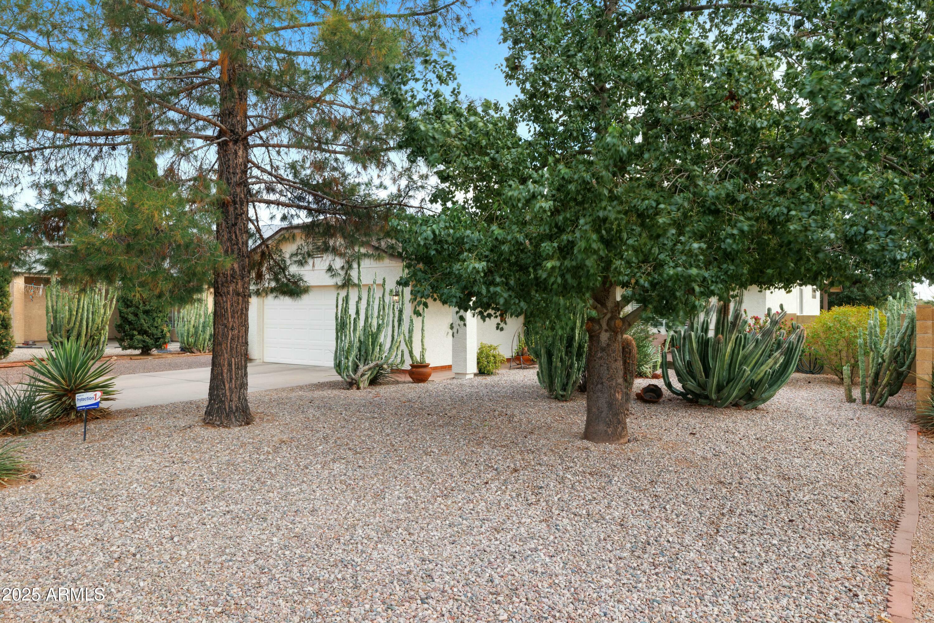 Property Photo:  449 E Fred Avenue  AZ 85119 