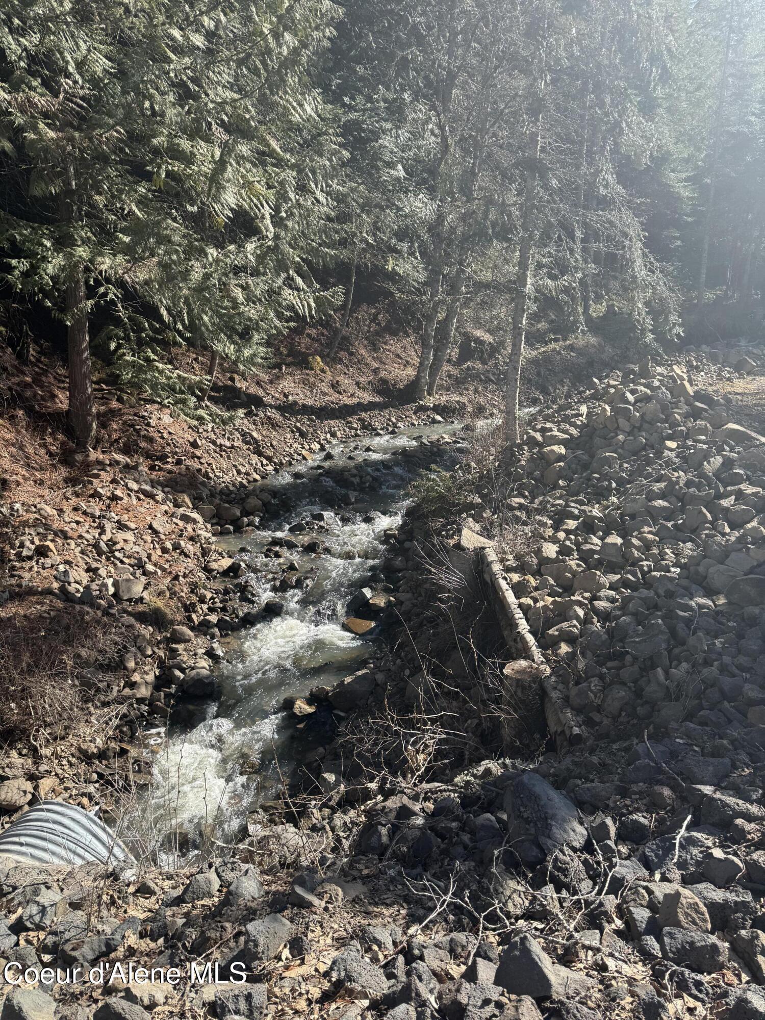 Property Photo: Flying Eagle Lot 19 ID 83833