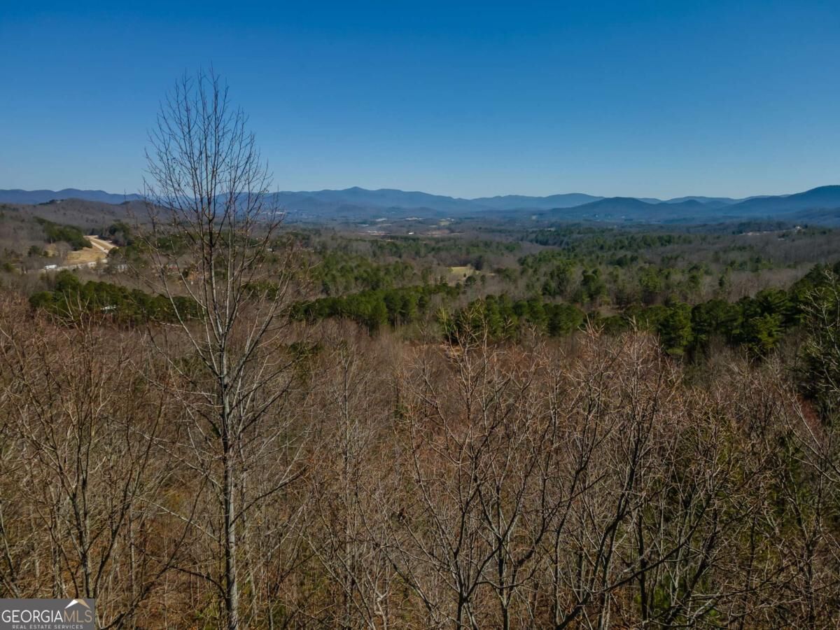 Property Photo: Lot 39 The Hills At Queens Gap GA 30512