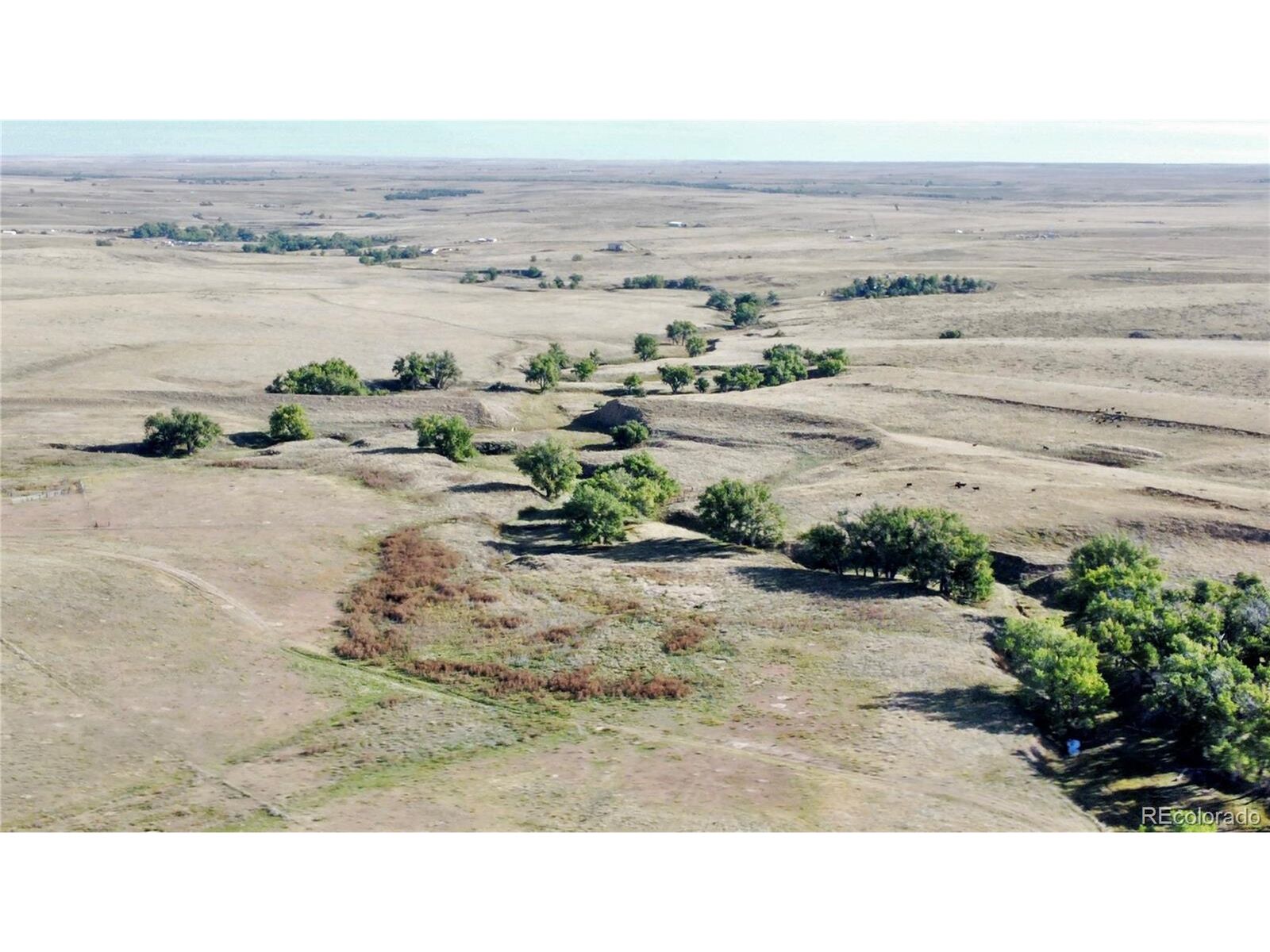 Property Photo: 7 County Road 109 CO 80105