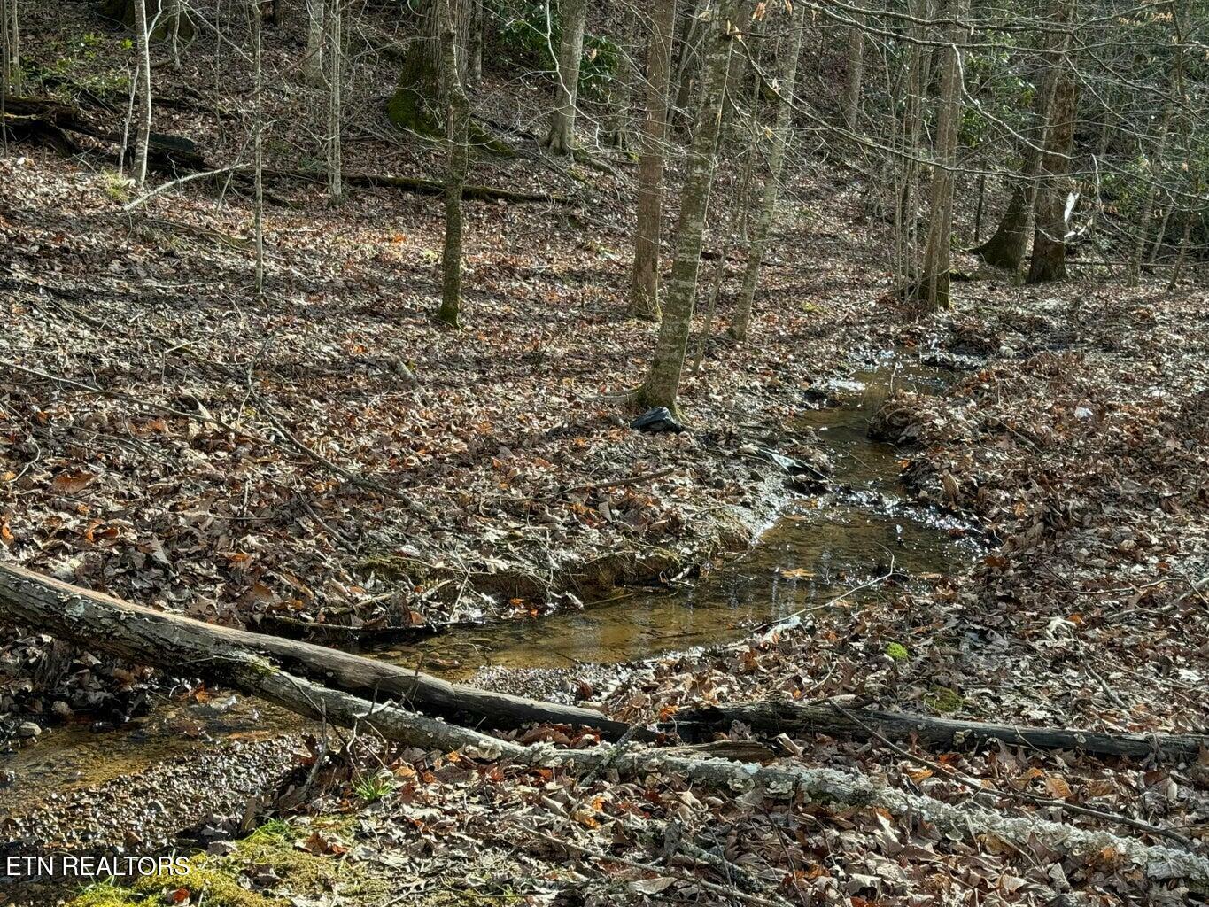 Property Photo: Lot 27 Pinnacle Vista Rd TN 37738