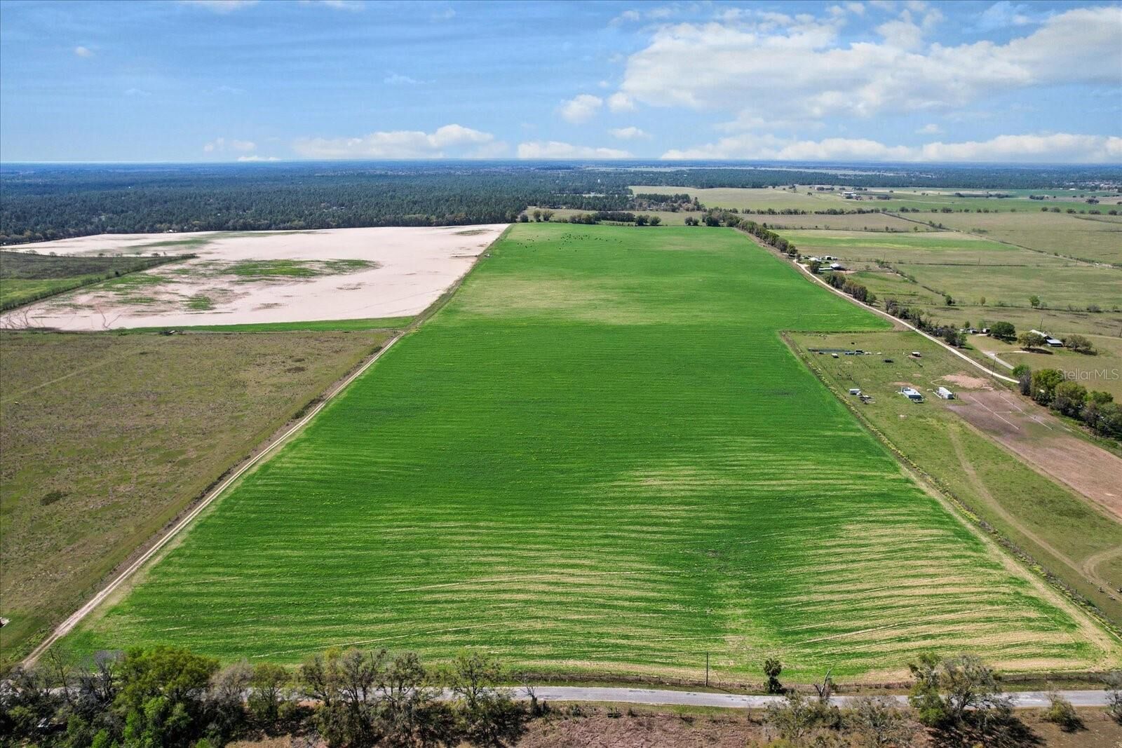 Property Photo:  (190 Ac-See Addt'l Pid's) NW 225th Avenue  FL 34431 