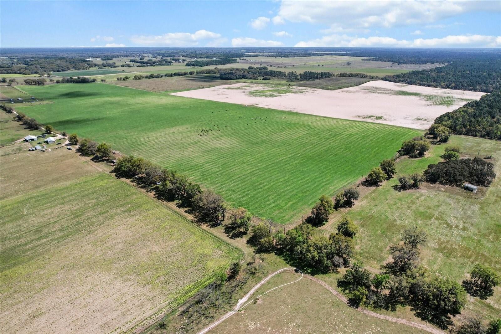 Property Photo:  (190 Ac-See Addt'l Pid's) NW 225th Avenue  FL 34431 