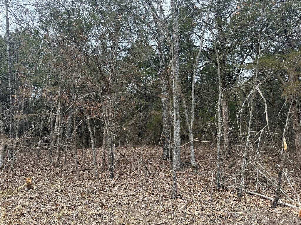 Property Photo:  Lot 8 Blackfoot Lane  AR 72631 