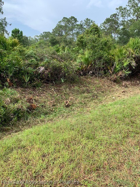 Property Photo: 1420 Errol Street FL 33852