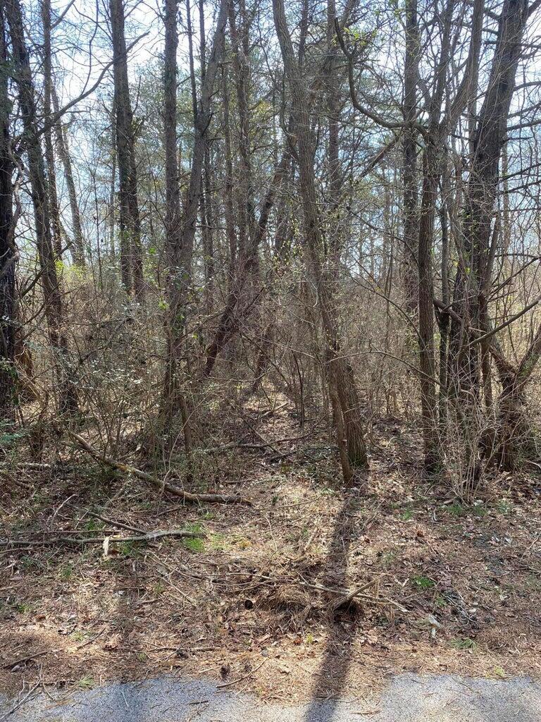 Property Photo:  1057 Palisades Court  KY 41519 