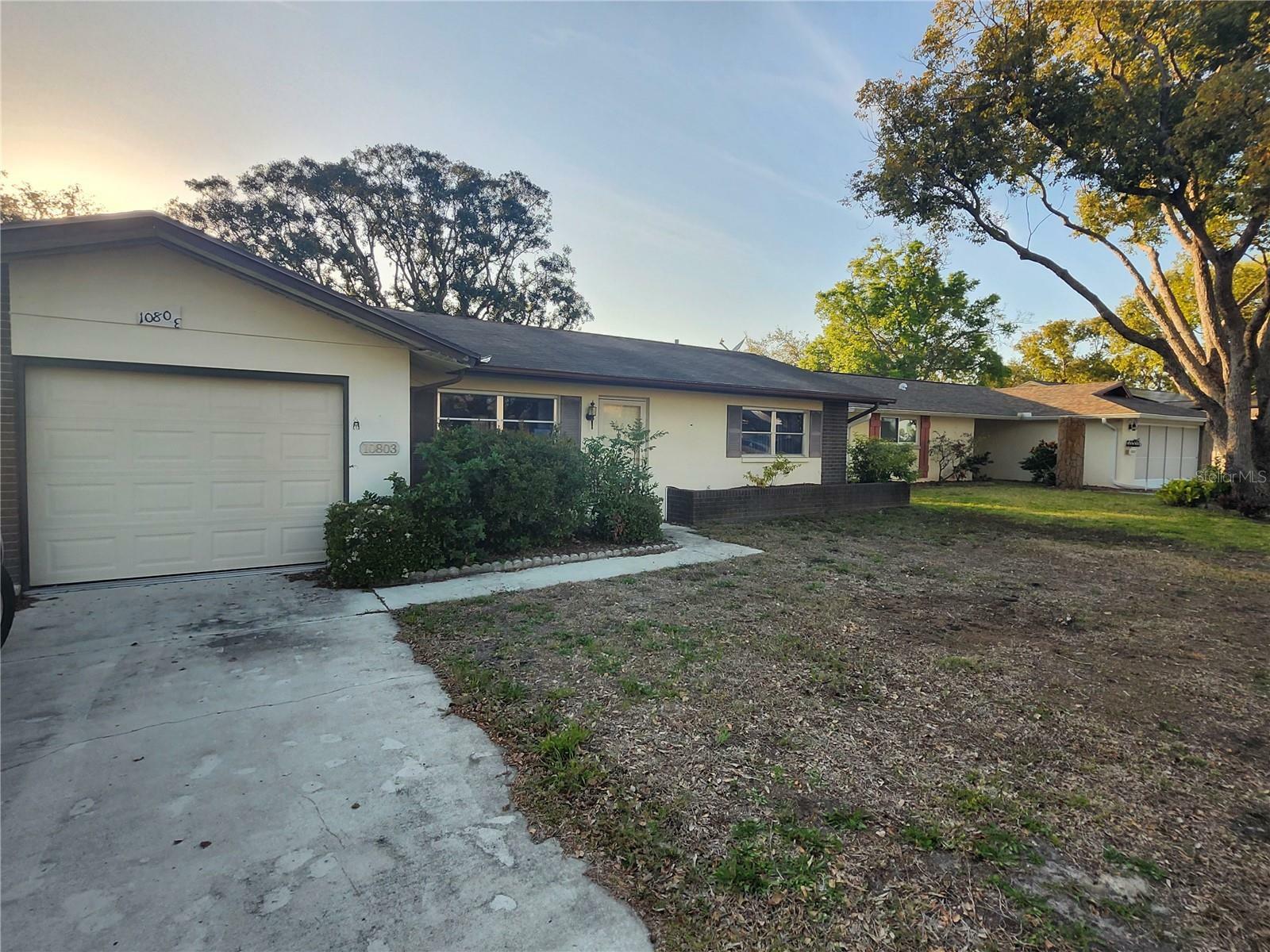 Property Photo: 10803 Hachita Drive FL 34668