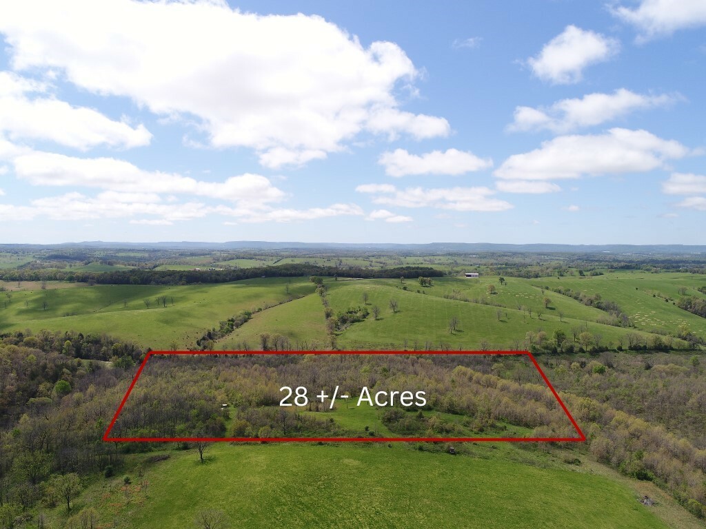 Property Photo:  Tbd Carroll Cr 818 Road  AR 72638 