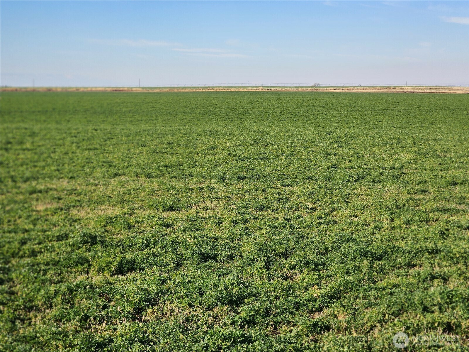 Property Photo: 0 NW Corner Of Rd 8 NW & E NW WA 98823