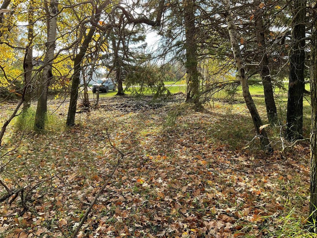 63 Stewart Avenue  Kelwood MB R0J 0Y0 photo