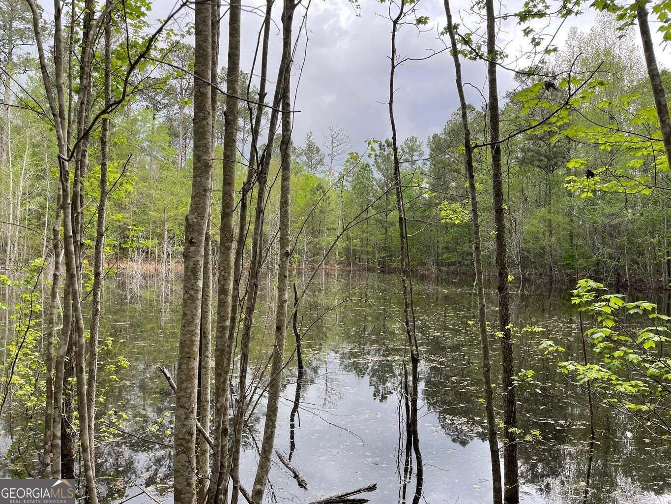 Property Photo: 0 Mason Road GA 30814