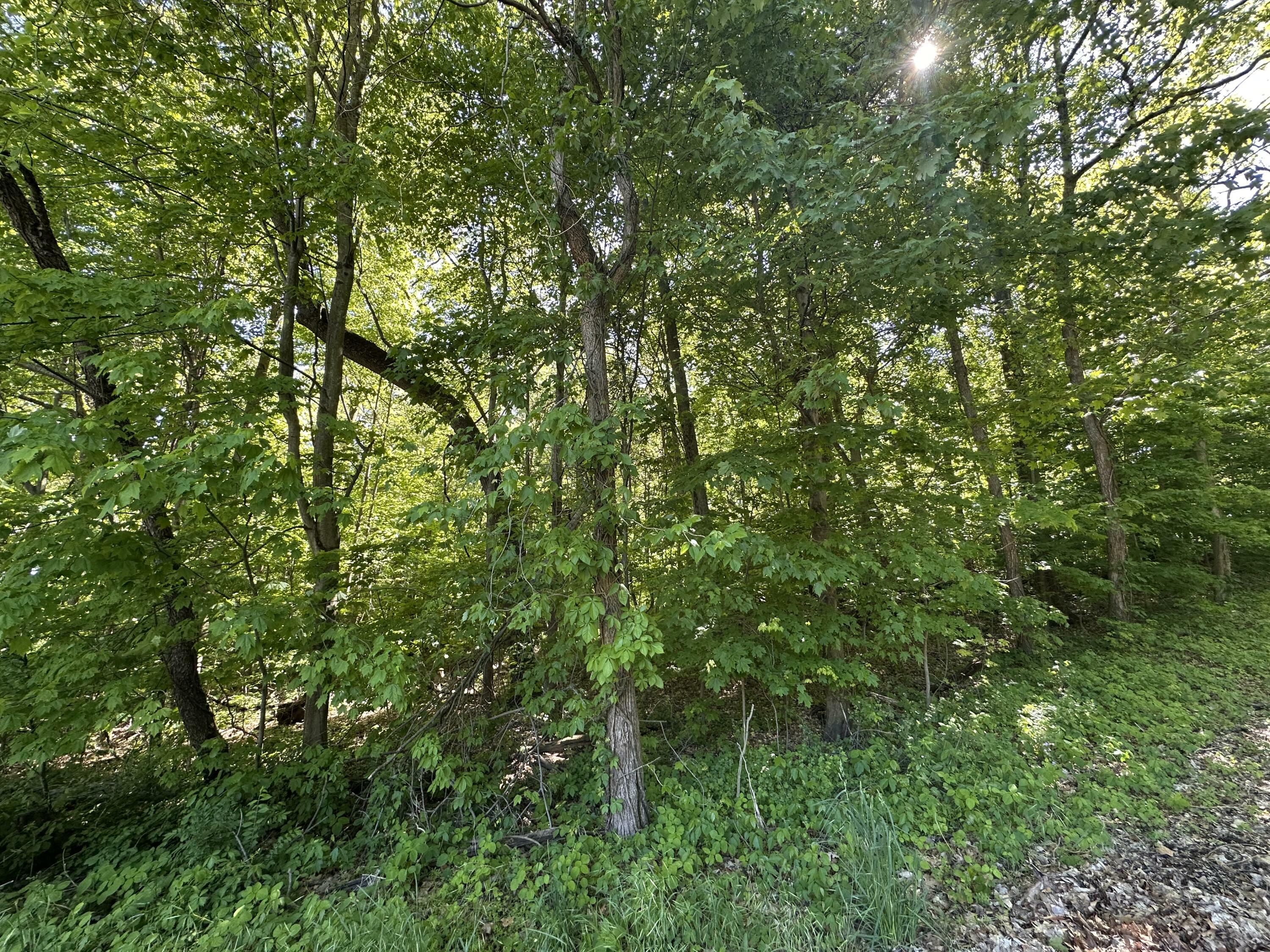 Property Photo:  0 E Division Road  IN 46350 
