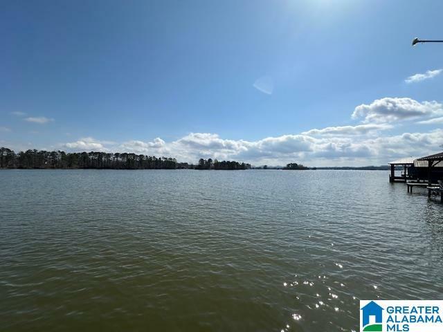 6315 Lister Ferry Road .18  Rainbow City AL 35906 photo