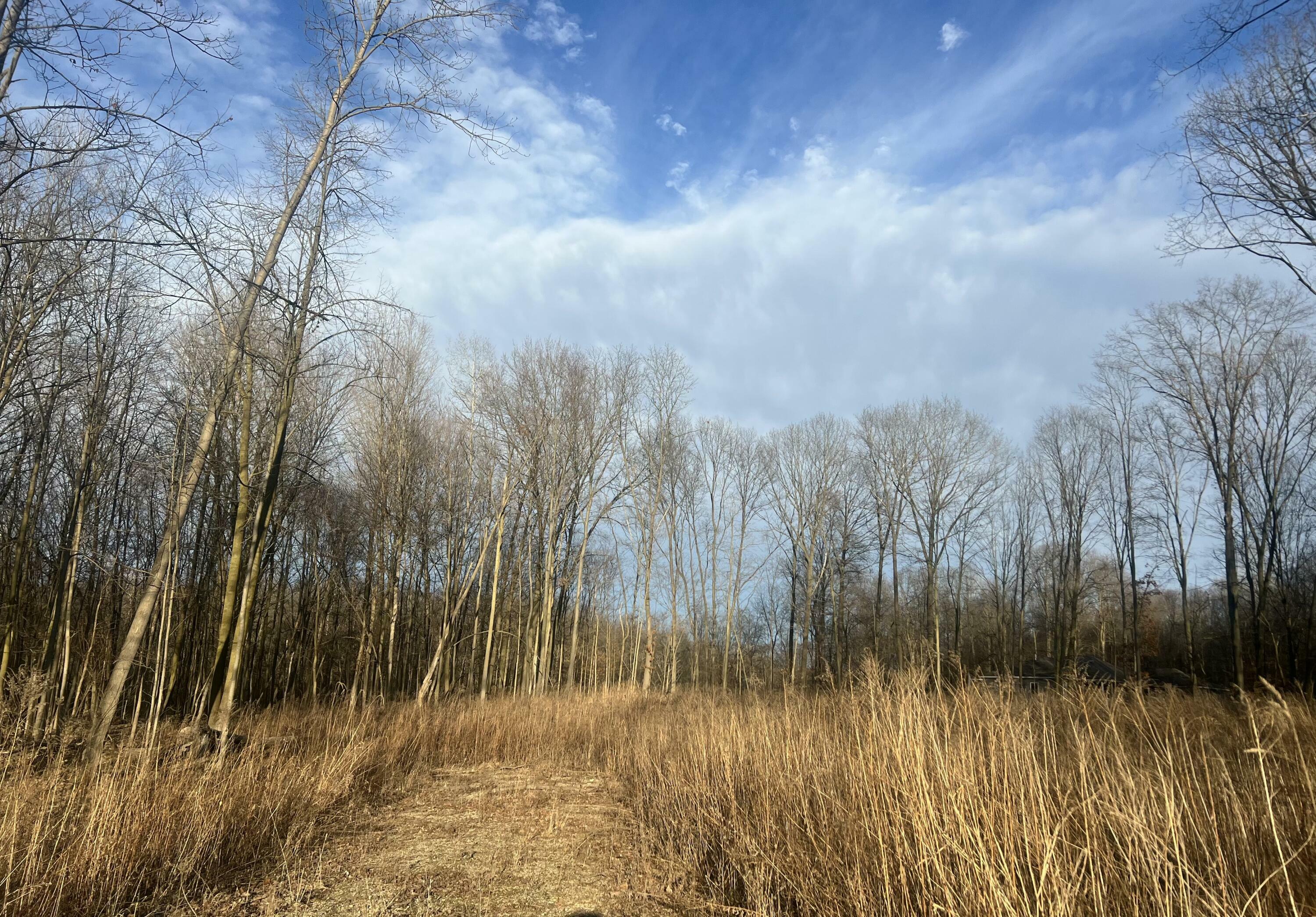 Property Photo:  1943 Pinckney Road  MI 48881 