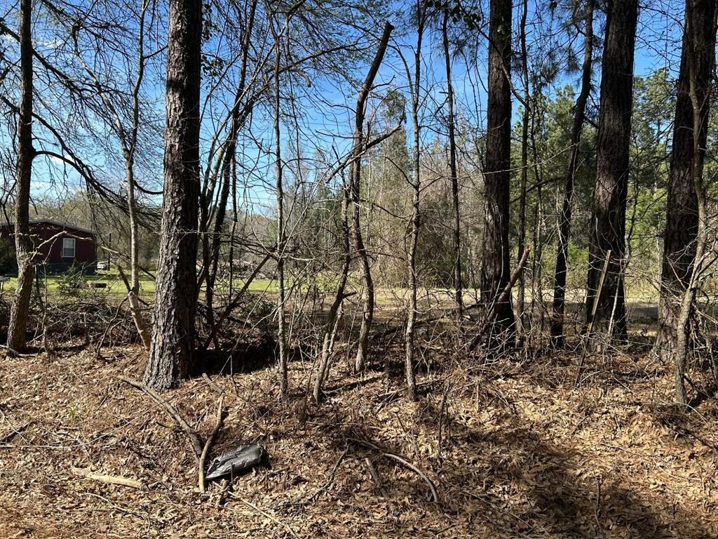Property Photo: 214 Haddaway Lane TX 75901